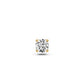 Diamond Piercing in Yellow Gold R25200725