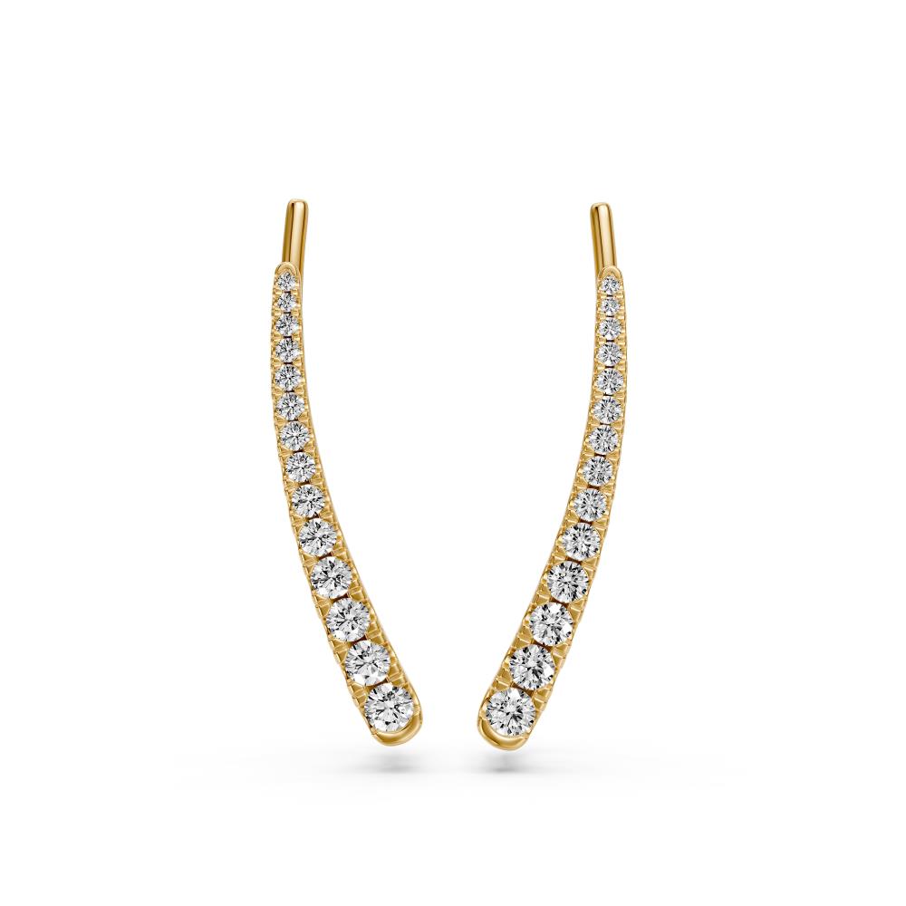 Diamond Earrings in Yellow Gold R22261124