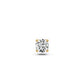 Diamond Piercing in Yellow Gold R25140725