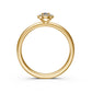 Diamond Ring in Yellow Gold R15281024