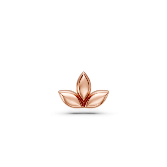 Piercing in Rose Gold R26230725